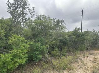0 County Road 187, Orange Grove, TX 78372