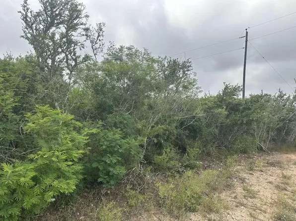 0 County Road 187, Orange Grove, TX 78372