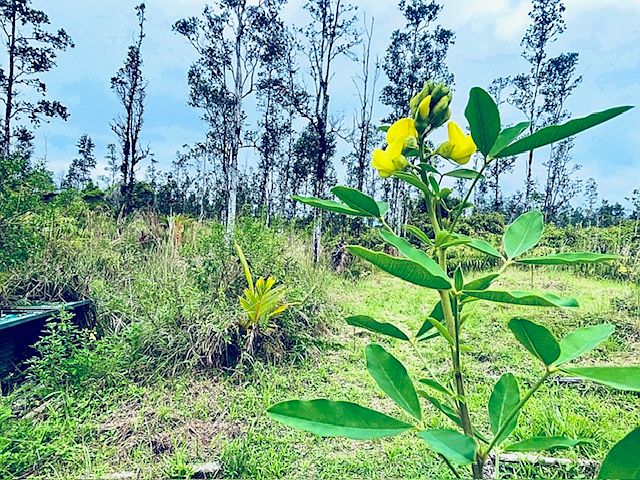1st image of 16-2030 Ao Rd Lot 2763