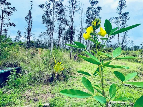 16-2030 Ao Rd Lot 2763, Kurtistown, HI 96760