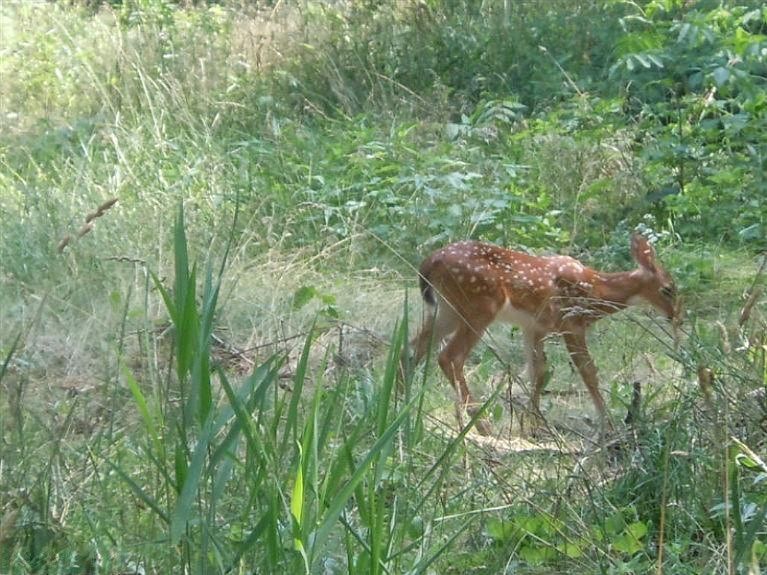 1st image of Turkey Trail Dr