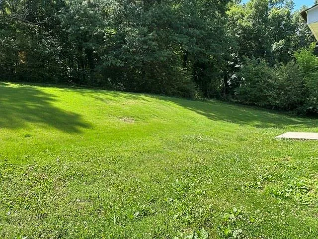 207 Cherry Hill Dr — Photo 11