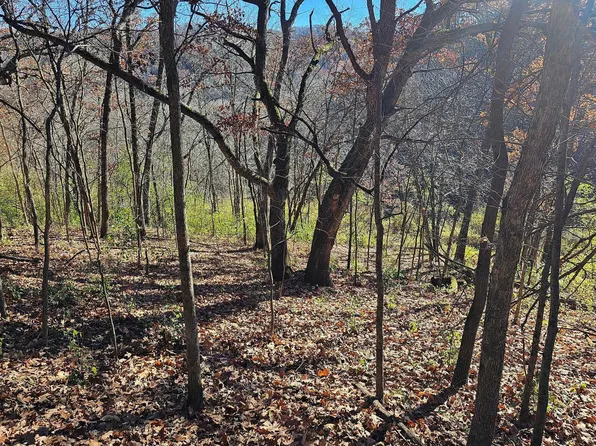 Stone Point Rd, Winona, MN 55987