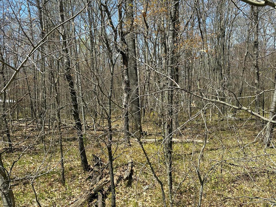 1st image of Shadowbrook Dr