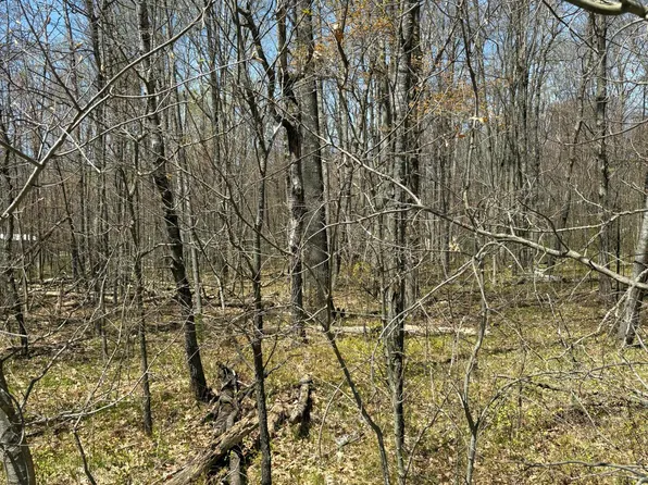 Shadowbrook Dr, Lake, MI 48632