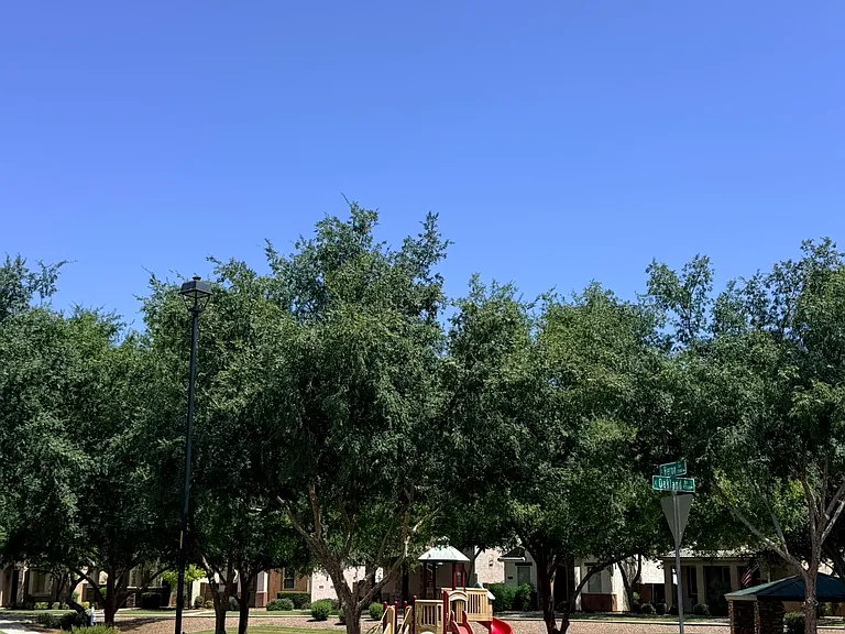 4342 E Carla Vista Dr — Photo 16