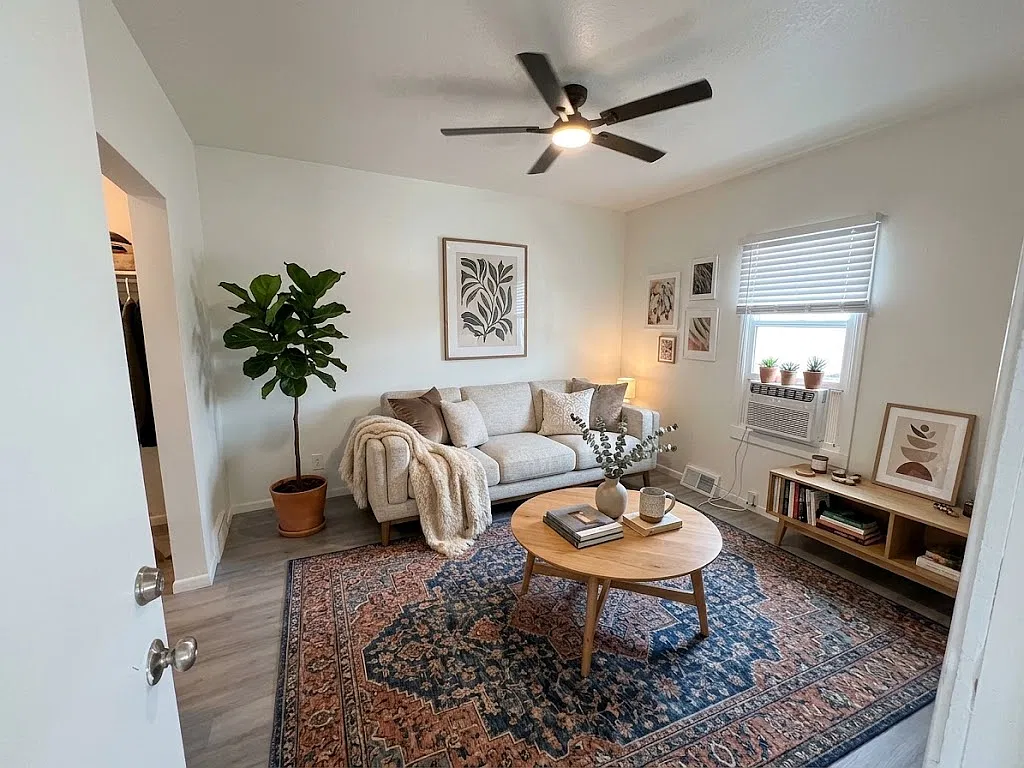 1 bed, $800 — Photo 2