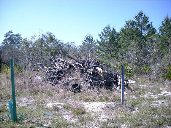 3rd image of 137 Sweet Pea Ct