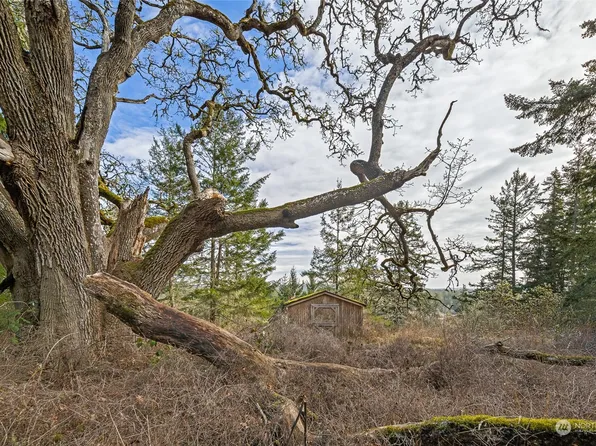 268 Skottowe Lane, Friday Harbor, WA 98250