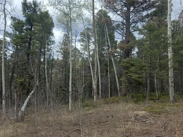 Lot 6090 Vreeland Road LOT 6090, San Luis, CO 81152