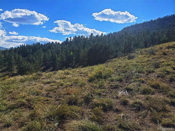 5th image of 120 Fairway Ridge Lane LOT 41