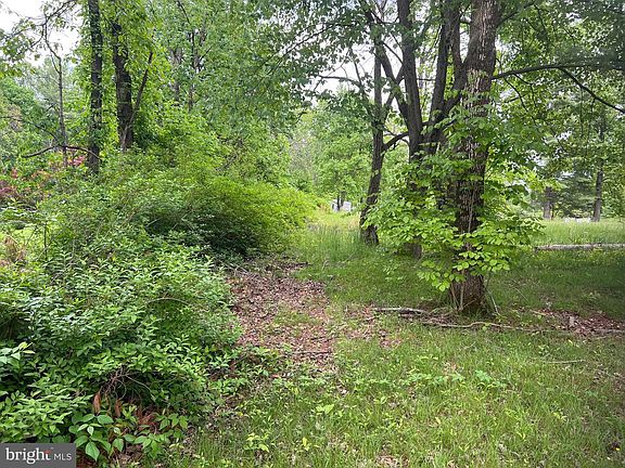 4th image of 2205 Thomas Run Rd