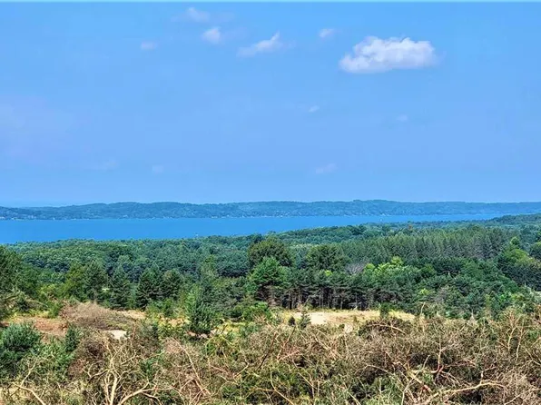 PARCEL F Cemetery Rd, Alden, MI 49612