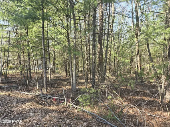 LOT 3 Stone Ridge Rd, Dingmans Ferry, PA 18328