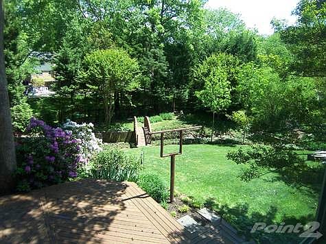 View From Kitchen Window