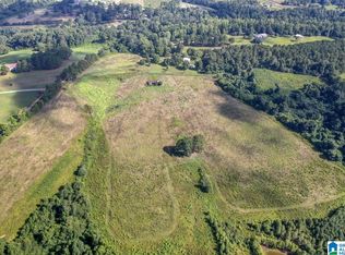 1 Runway Dr PARCEL 3, Hayden, AL 35079