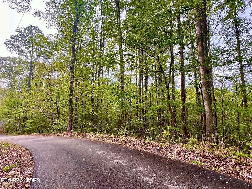 1st image of LOT 76&77 Polly Mountain Rd