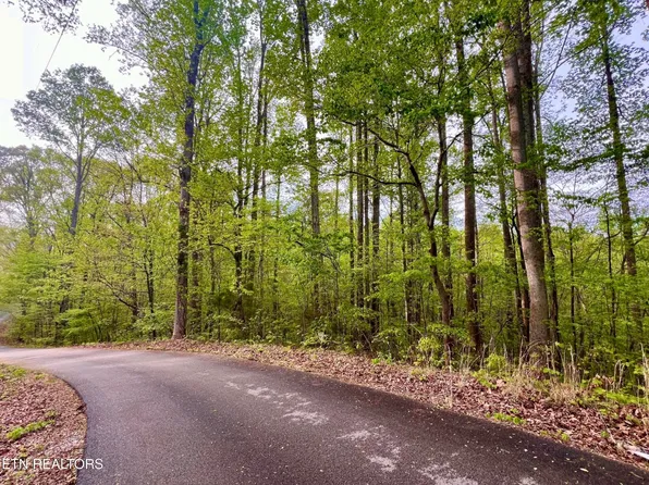 LOT 76&77 Polly Mountain Rd, Madisonville, TN 37354