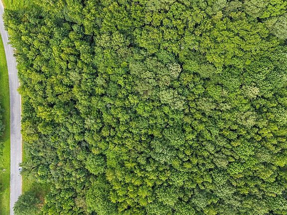 4th image of Burnt Mill Rd