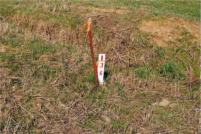 2nd image of 1008 Meridian Dr
