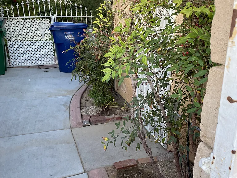 part of curt yard,and separated landlord back yard