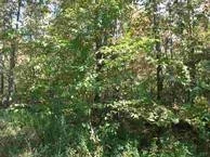 5th image of 0 ARMLIN Road