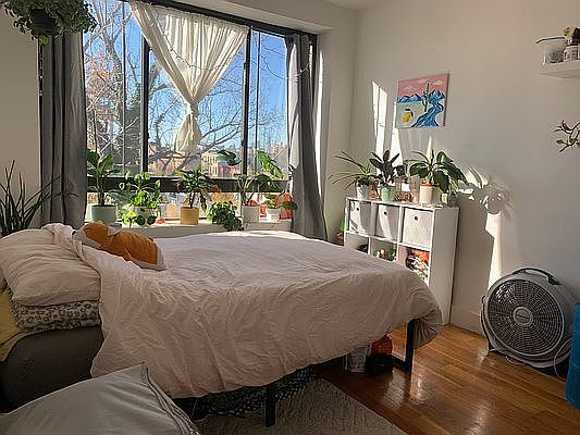 1st image of 194 Stuyvesant Ave APT 4