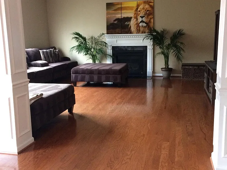 1416 Beech Hollow Ct — Photo 12