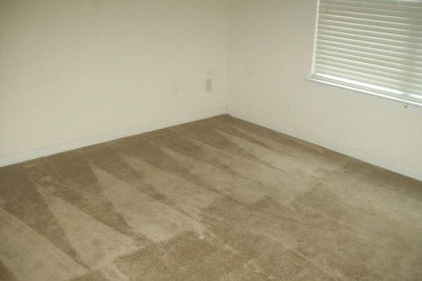 1st image of 7518 Mary Jo Helms Dr