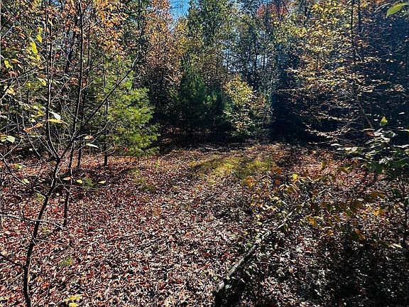 2nd image of MAP 408 LOT 39-1 Bullock Rd