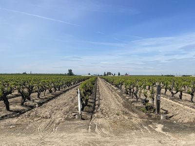 1 N Siskiyou Ave, Kerman, CA, 93630