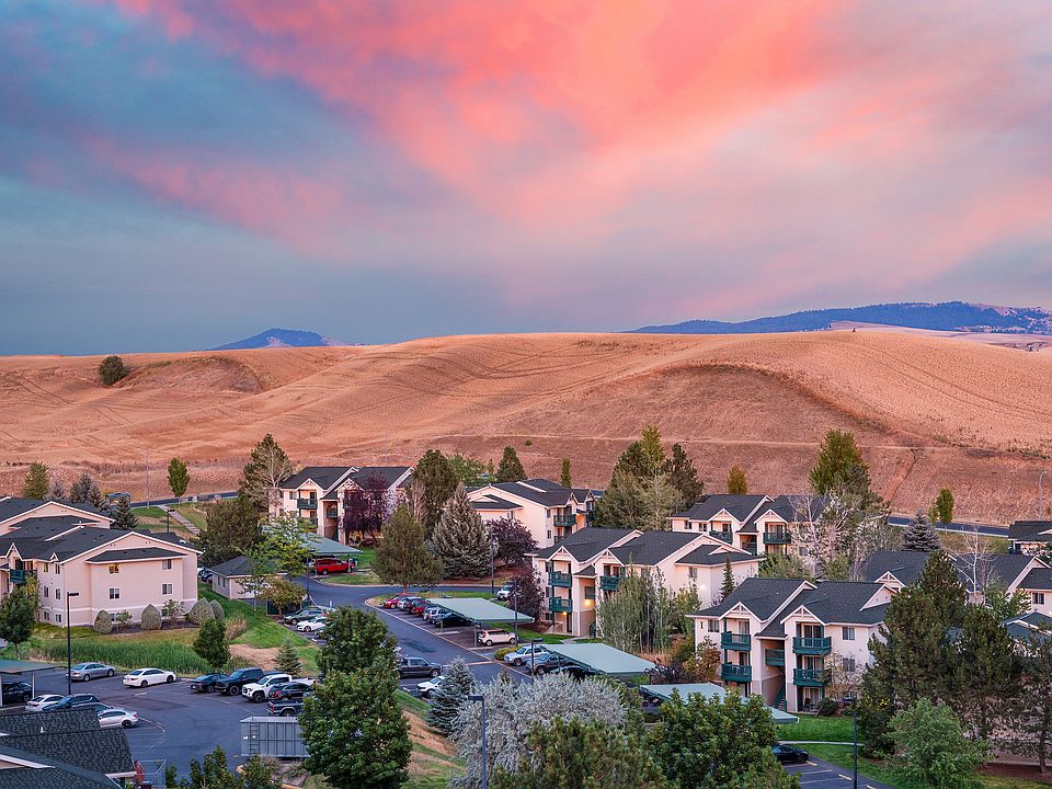 The Palouse at Sunset