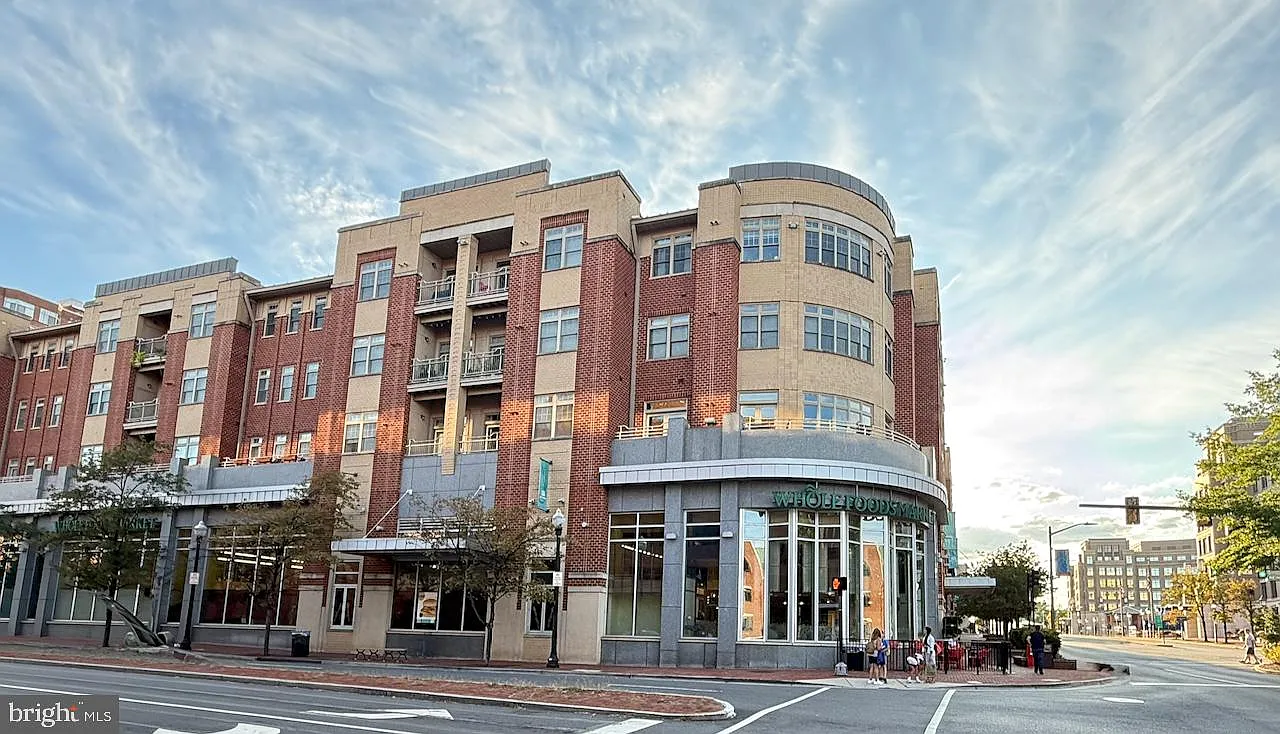 1 bed, 1.0 bath, 800 sqft, $2,500 — Photo 1