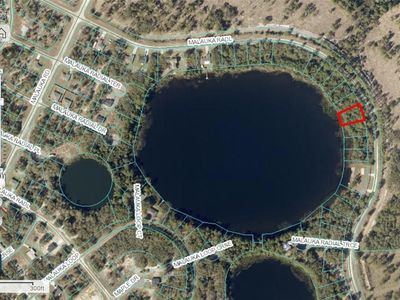Malauka Radl LOT 29, Ocklawaha, FL, 32179