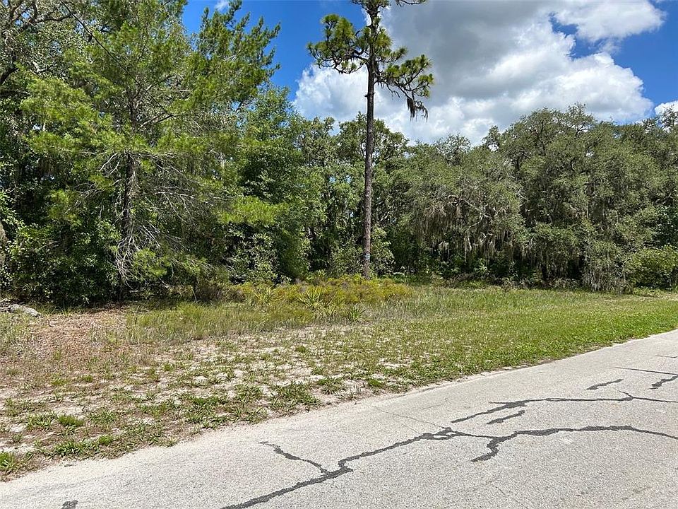1st image of 18223 LONG LAKE DRIVE LOT 98