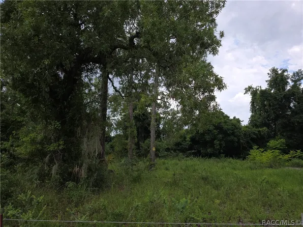 5896 W Pine Cir, Crystal River, FL 34429