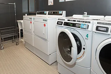 Rented by Cyberapts Management