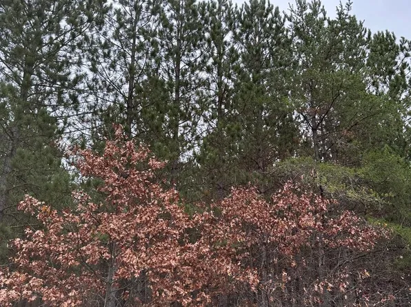 Lois Rd #4069-3, Tomahawk, WI 54487