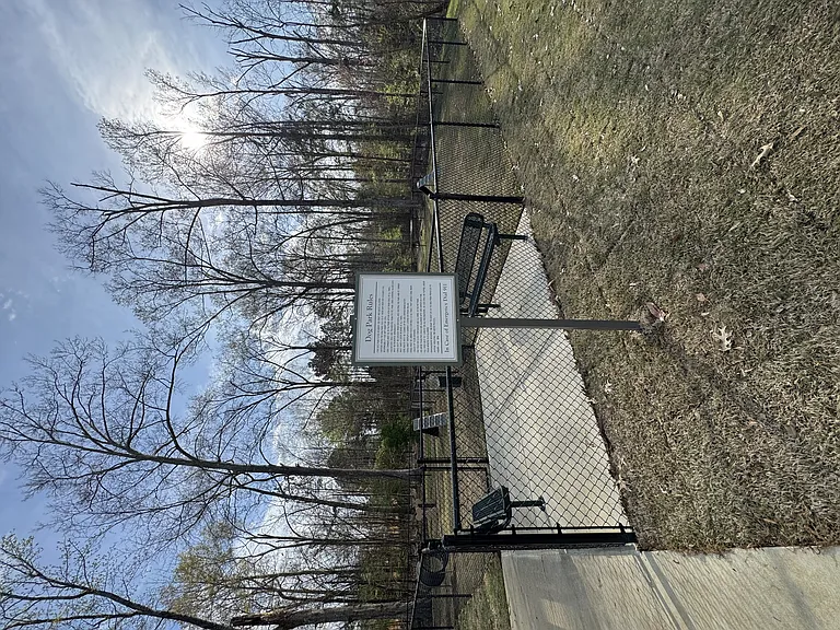 The Vineyard at Castlewoods Apartment Homes — Photo 17
