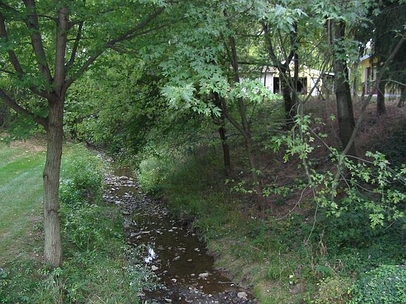 lovley stream meanders through the property