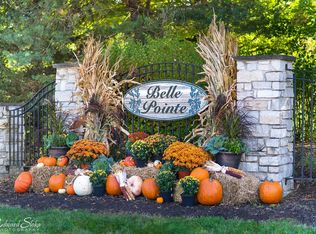 9604 Emily Ln, Union, IL 60180