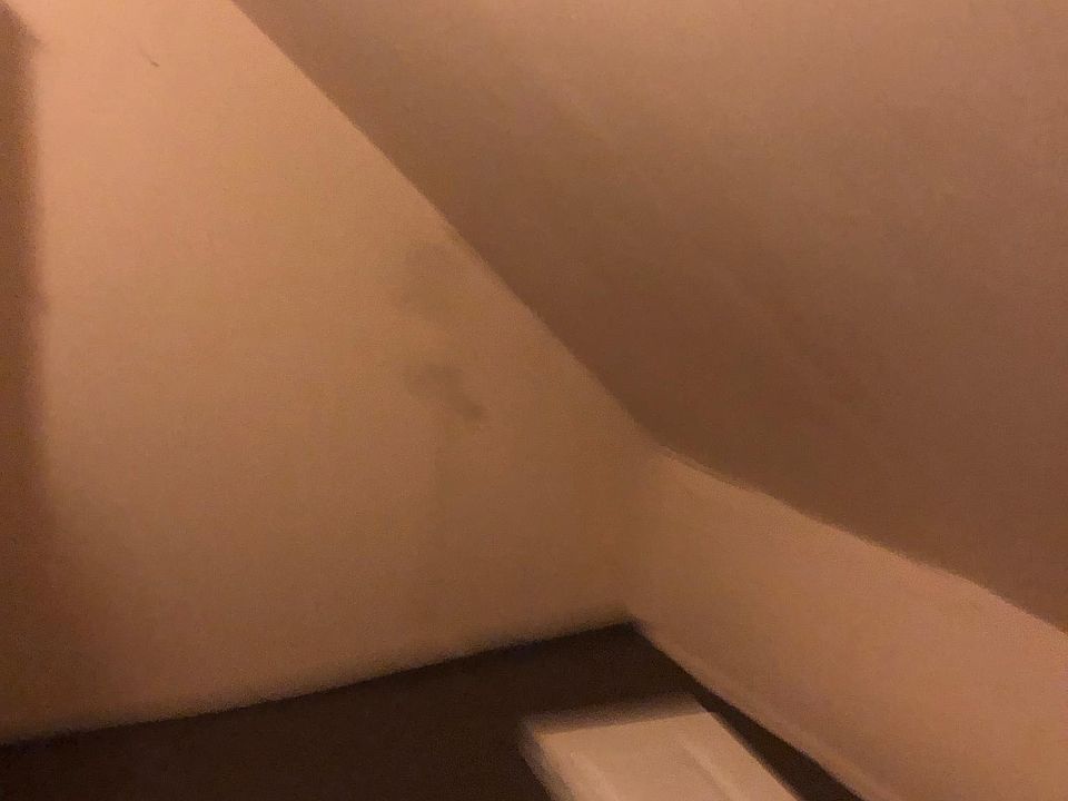 1st image of 41 Strauss St #2