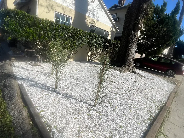 Front yard: units front windows facing sideway and front garden