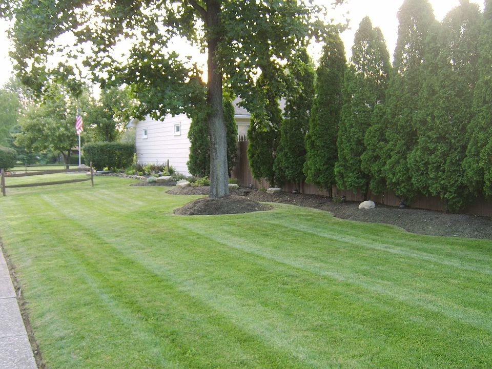 2nd image of 6529 Lafayette Dr