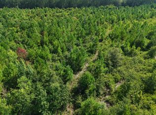 LOT 3 Oscar Rd, White Oak, GA 31568