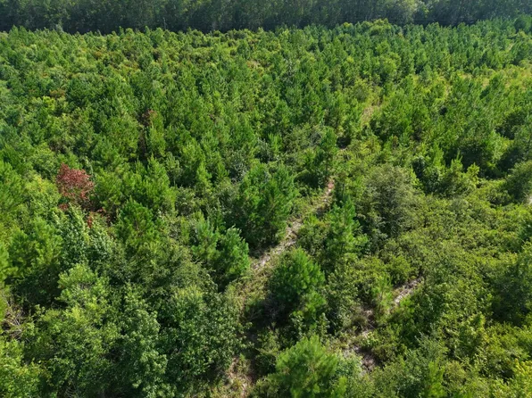LOT 3 Oscar Rd, White Oak, GA 31568