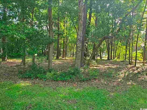 4th image of 0000 Live Oak Dr.