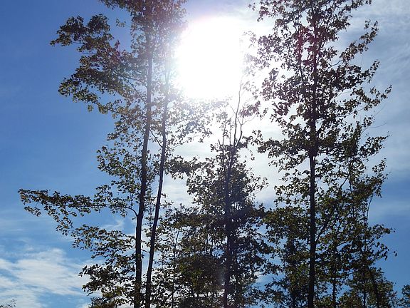 5th image of #tbd180 Wilson Truck Trail