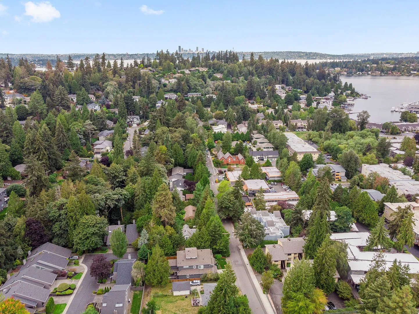 1Bd/1Ba Bellevue Condo — Photo 3