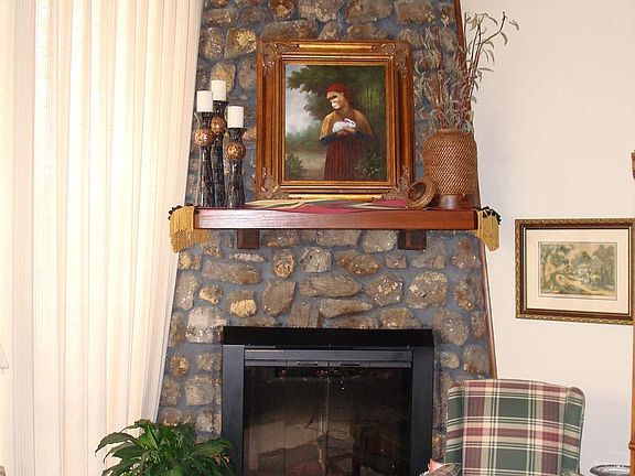 Wood Burning/Elect insert